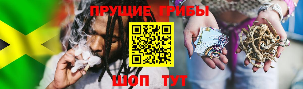 Псилоцибиновые грибы Psilocybine cubensis  Вход с VPN  Ростов-на-Дону  Галлюциногенные грибы MAGIC MUSHROOMS 